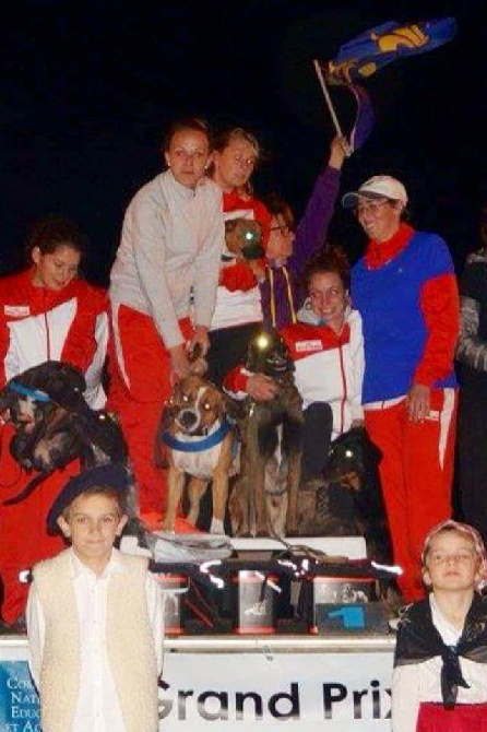 Diamond Stafford - Champion de france FLYBALL 2015