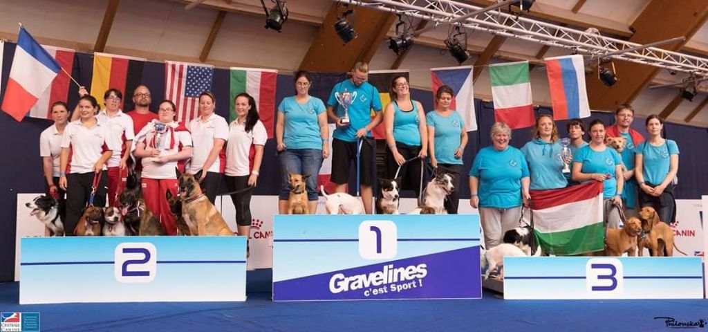 Championnat du monde Flyball 2018