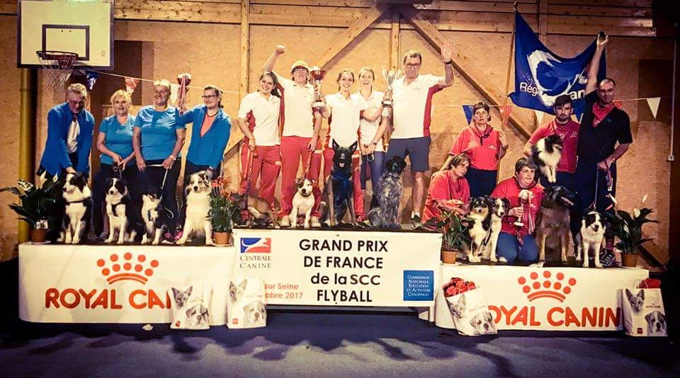 Championnat de France flyball 2017